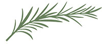 Rosemary ANZAC Day
